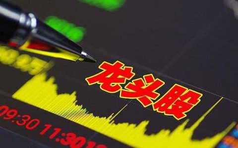 豆粕期货价格指数收益率(豆粕期货价格指数收益率是多少)
